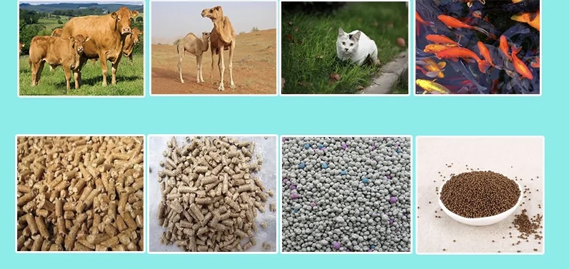 <strong>How to improve production efficiency in ruminant feed production line</strong>